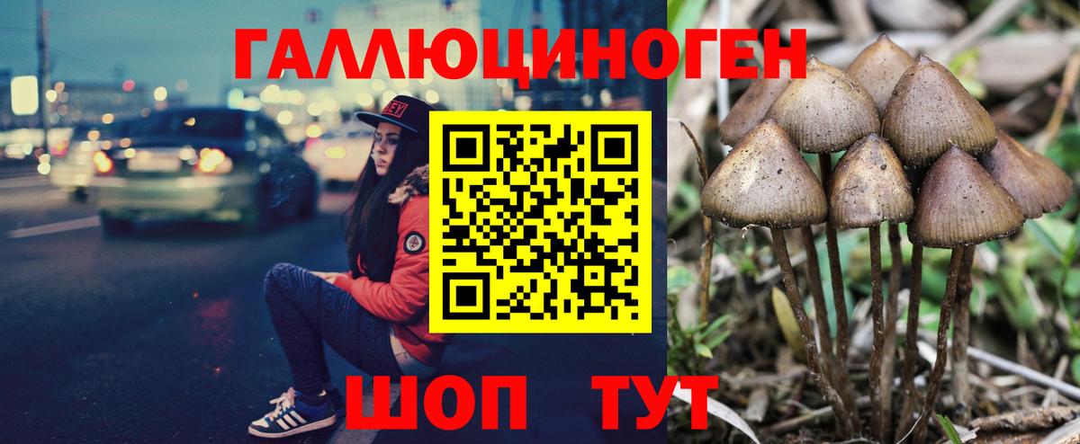 Псилоцибиновые грибы прущие грибы  Вход с VPN  Якутск  купить наркотики цена  Галлюциногенные грибы Psilocybine cubensis 
